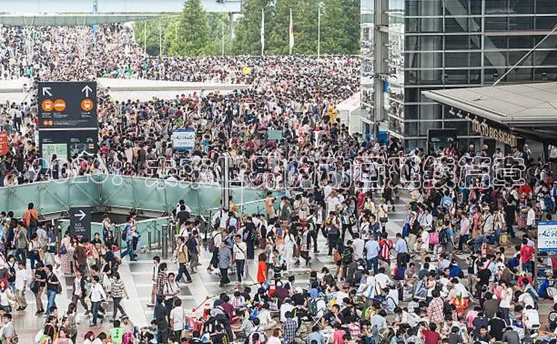 2026：未来世界的动画延续篇章